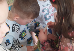 Zdjęcie 9 na 13