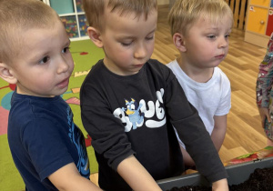 dzieci sadzą kwiatki Staś Olek