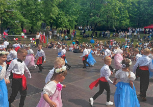 Zdjęcie 11 na 13