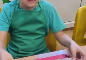 Zdjęcie 3 na 13