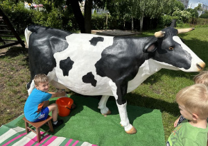 Olek