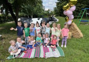 Zdjęcie 28 na 96