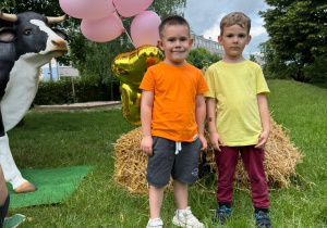 Zdjęcie 13 na 134