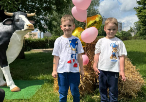 Zdjęcie 19 na 134