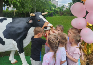 Zdjęcie 26 na 134