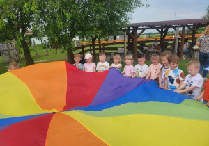 Zdjęcie 36 na 118