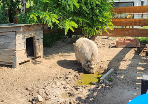 Zdjęcie 78 na 118