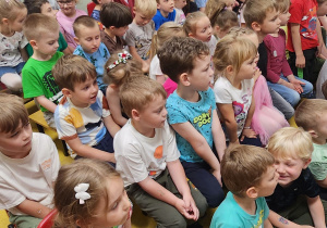 Zdjęcie 3 na 10