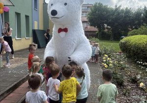 biały miś