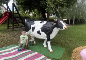dojenie krowy Kajtek