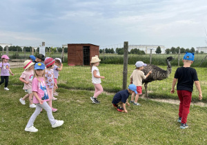Zdjęcie 72 na 76