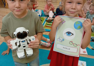 Zmysł wzroku.