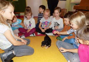 Dzieci z grupy "Kreciki" witają się ze szczeniaczkiem