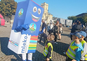 Zdjęcie 16 na 86