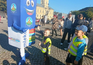 Zdjęcie 17 na 86