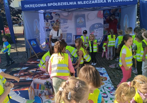 Zdjęcie 33 na 86