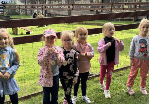 Kreciki z wizytą w mini ZOO