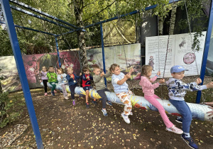 Zdjęcie 24 na 102