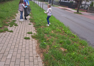 Zdjęcie 4 na 23