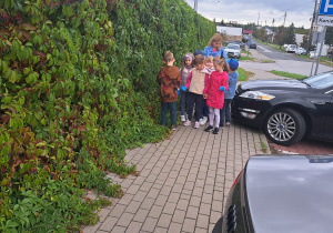 Zdjęcie 12 na 23