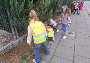 Zdjęcie 16 na 23