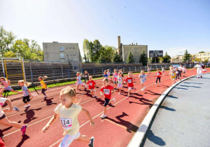 Zdjęcie 4 na 15
