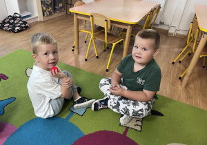 Zdjęcie 10 na 28