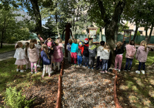Zdjęcie 5 na 18