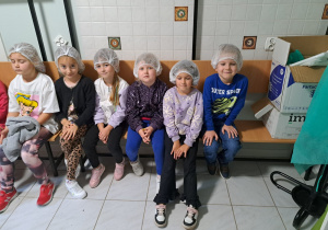 Zdjęcie 8 na 60
