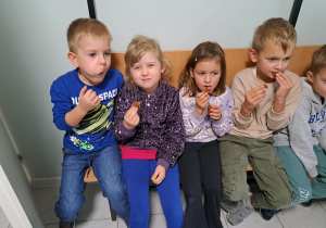 Zdjęcie 14 na 60