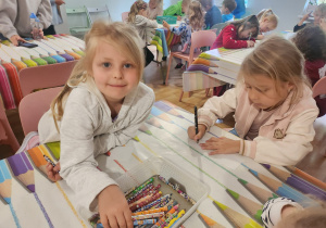 Zdjęcie 49 na 60
