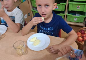 Zdjęcie 1 na 31