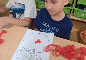Zdjęcie 16 na 31