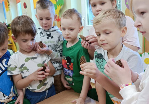 Dzieci oglądają szyszki.