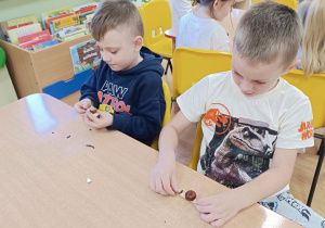 Ślimaki z kasztana i spinaczy.