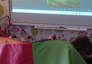 Zabawy w teatr ze ślimakami.