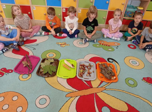 Dzień Jesieni połączony z realizacją projektu "Z przyrodą za pan brat".