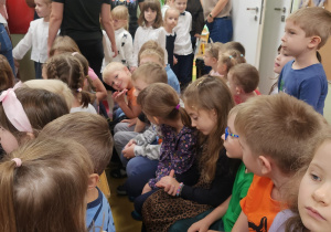 Zdjęcie 6 na 17