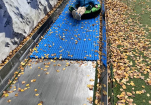 Zdjęcie 45 na 99