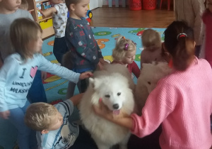 Dzieci słuchają jak zajmować się psami