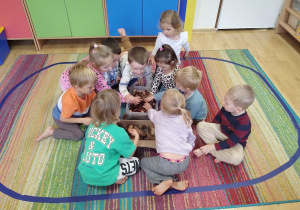 Dzieci klasyfikują dary jesieni