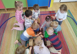 Dzieci klasyfikują dary jesieni