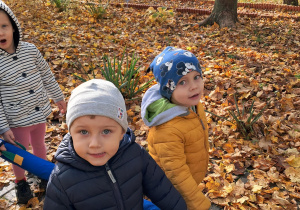 "Jesienny spacer" ....