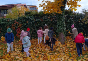 Dzieci zbierają liście.