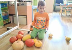 "Dzień Dyni" u Żabek