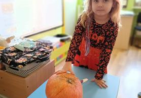 "Dzień Dyni" u Żabek