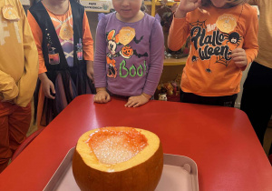 Doświadczenia z dynią