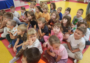 Podsumowanie akcji "Zbiórka dla schroniska Felkowy Stryszek -Dom Tymczasowy".