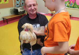 Podsumowanie akcji "Zbiórka dla schroniska Felkowy Stryszek -Dom Tymczasowy".