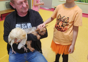 Podsumowanie akcji "Zbiórka dla schroniska Felkowy Stryszek -Dom Tymczasowy".